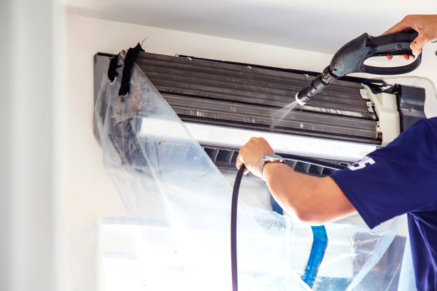 Best Home Air Vent Cleaning  in Wahneta, FL