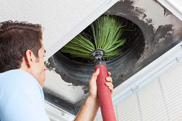 Best Emergency Air Duct Cleaning  in Wahneta, FL