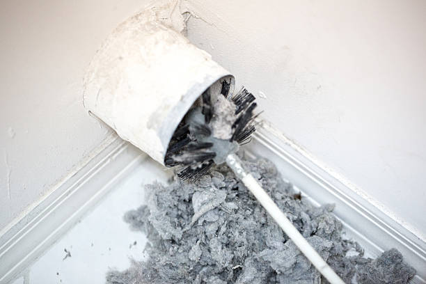 Best Air Duct Cleaning Near Me  in Wahneta, FL